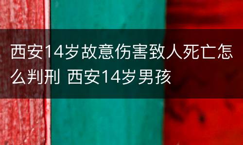 西安14岁故意伤害致人死亡怎么判刑 西安14岁男孩