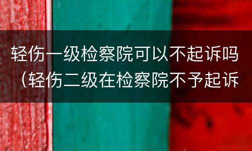轻伤一级检察院可以不起诉吗（轻伤二级在检察院不予起诉可以吗）
