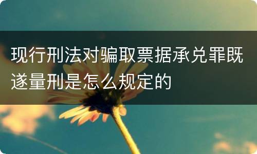 现行刑法对骗取票据承兑罪既遂量刑是怎么规定的