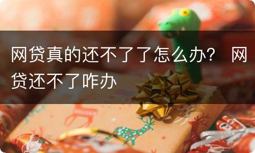 网贷真的还不了了怎么办？ 网贷还不了咋办