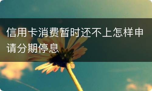 信用卡消费暂时还不上怎样申请分期停息