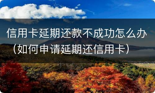 信用卡延期还款不成功怎么办（如何申请延期还信用卡）