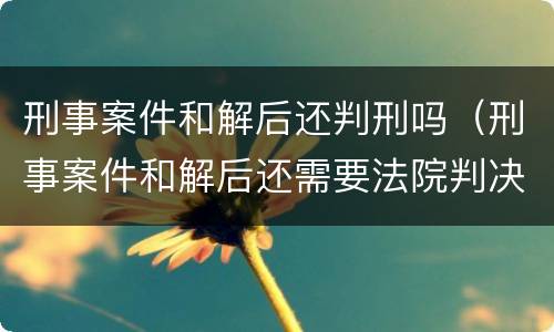 刑事案件和解后还判刑吗（刑事案件和解后还需要法院判决吗）