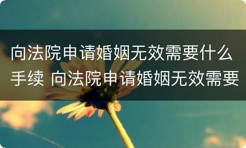 向法院申请婚姻无效需要什么手续 向法院申请婚姻无效需要什么手续和证据