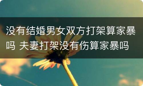 没有结婚男女双方打架算家暴吗 夫妻打架没有伤算家暴吗