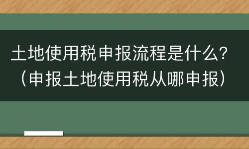 土地使用税申报流程是什么？（申报土地使用税从哪申报）