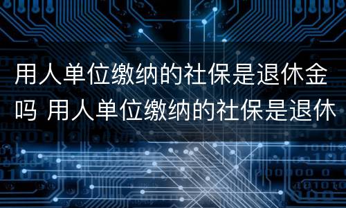 用人单位缴纳的社保是退休金吗 用人单位缴纳的社保是退休金吗怎么查