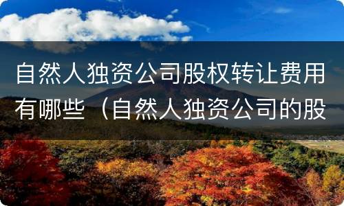 自然人独资公司股权转让费用有哪些（自然人独资公司的股权转让）