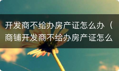 开发商不给办房产证怎么办（商铺开发商不给办房产证怎么办）