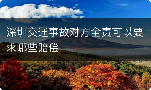 深圳交通事故对方全责可以要求哪些赔偿