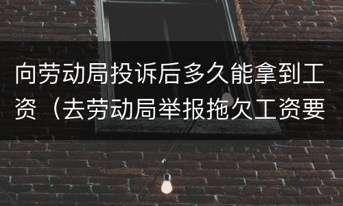 向劳动局投诉后多久能拿到工资（去劳动局举报拖欠工资要多久才能拿到工资）
