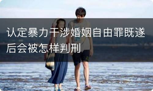 认定暴力干涉婚姻自由罪既遂后会被怎样判刑