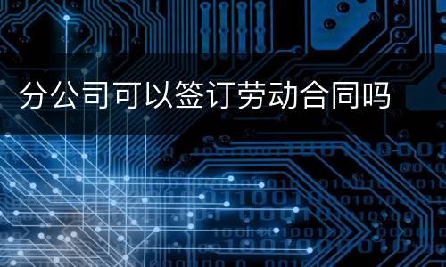 分公司可以签订劳动合同吗