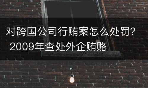 对跨国公司行贿案怎么处罚？ 2009年查处外企贿赂