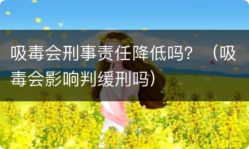 吸毒会刑事责任降低吗？（吸毒会影响判缓刑吗）