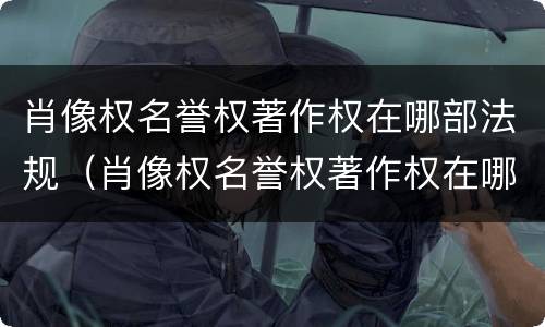 肖像权名誉权著作权在哪部法规（肖像权名誉权著作权在哪部法规上）