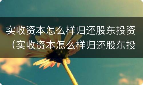 实收资本怎么样归还股东投资（实收资本怎么样归还股东投资款项）