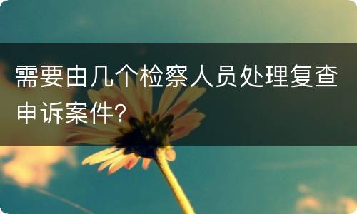 需要由几个检察人员处理复查申诉案件？