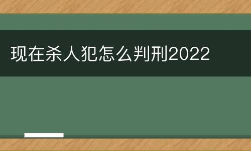 现在杀人犯怎么判刑2022
