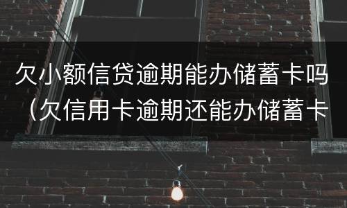 欠小额信贷逾期能办储蓄卡吗（欠信用卡逾期还能办储蓄卡吗）