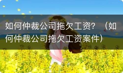 如何仲裁公司拖欠工资？（如何仲裁公司拖欠工资案件）