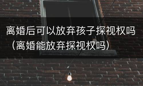 离婚后可以放弃孩子探视权吗（离婚能放弃探视权吗）