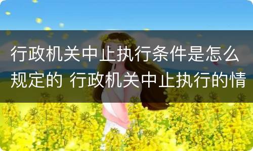 行政机关中止执行条件是怎么规定的 行政机关中止执行的情形