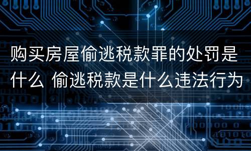 购买房屋偷逃税款罪的处罚是什么 偷逃税款是什么违法行为
