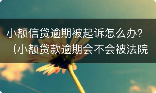 小额信贷逾期被起诉怎么办？（小额贷款逾期会不会被法院起诉）