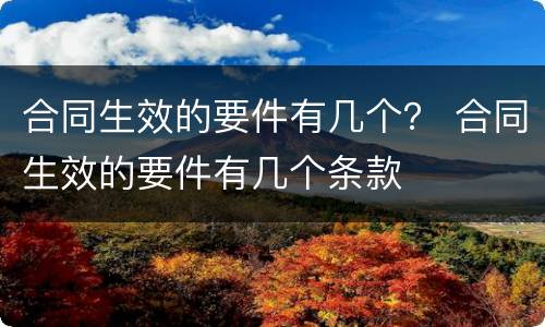 合同生效的要件有几个？ 合同生效的要件有几个条款