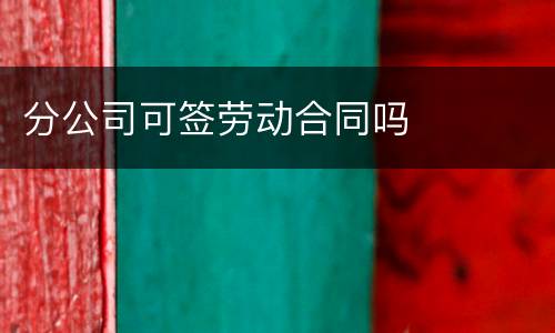 分公司可签劳动合同吗