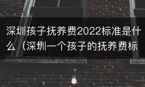 深圳孩子抚养费2022标准是什么（深圳一个孩子的抚养费标准为多少）