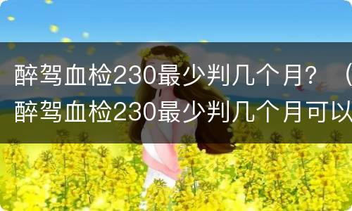 醉驾血检230最少判几个月？（醉驾血检230最少判几个月可以缓刑吗）