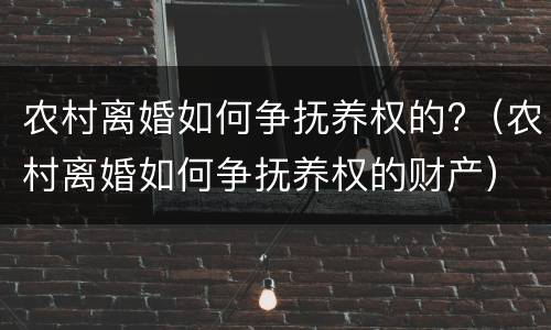农村离婚如何争抚养权的?（农村离婚如何争抚养权的财产）