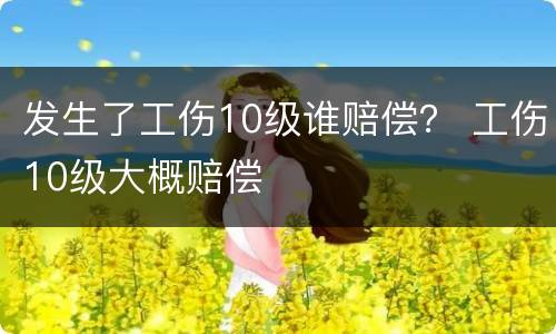 发生了工伤10级谁赔偿？ 工伤10级大概赔偿