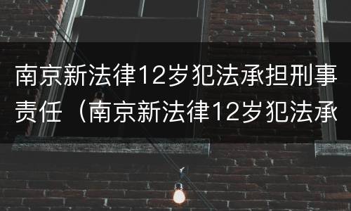 南京新法律12岁犯法承担刑事责任（南京新法律12岁犯法承担刑事责任的案例）