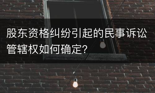 股东资格纠纷引起的民事诉讼管辖权如何确定？