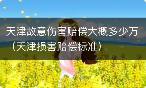 天津故意伤害赔偿大概多少万（天津损害赔偿标准）