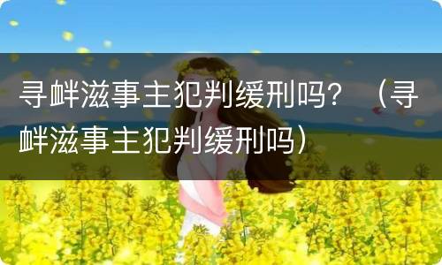 寻衅滋事主犯判缓刑吗？（寻衅滋事主犯判缓刑吗）