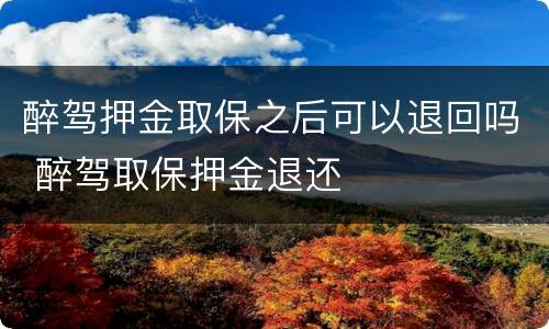 醉驾押金取保之后可以退回吗 醉驾取保押金退还