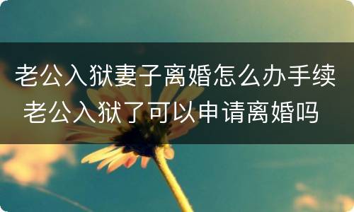 老公入狱妻子离婚怎么办手续 老公入狱了可以申请离婚吗