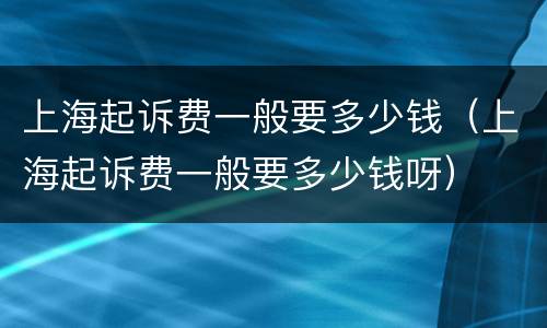 上海起诉费一般要多少钱（上海起诉费一般要多少钱呀）