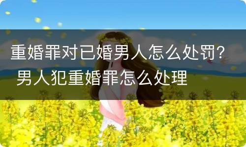 重婚罪对已婚男人怎么处罚？ 男人犯重婚罪怎么处理