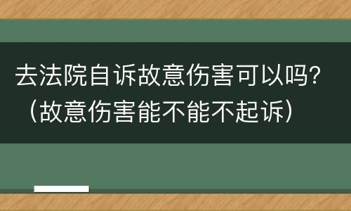 去法院自诉故意伤害可以吗？（故意伤害能不能不起诉）