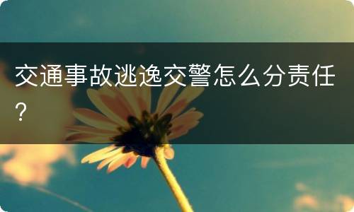 交通事故逃逸交警怎么分责任?
