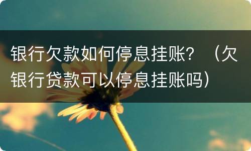 银行欠款如何停息挂账？（欠银行贷款可以停息挂账吗）