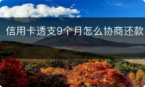 信用卡透支9个月怎么协商还款