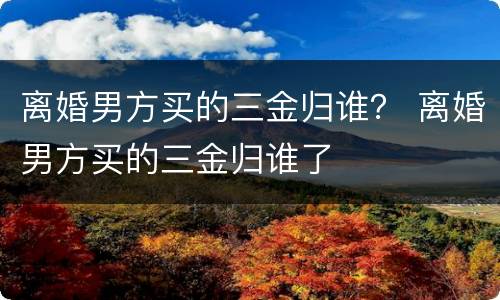 离婚男方买的三金归谁？ 离婚男方买的三金归谁了