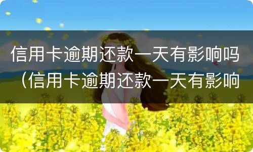 信用卡逾期还款一天有影响吗（信用卡逾期还款一天有影响吗贴吧）