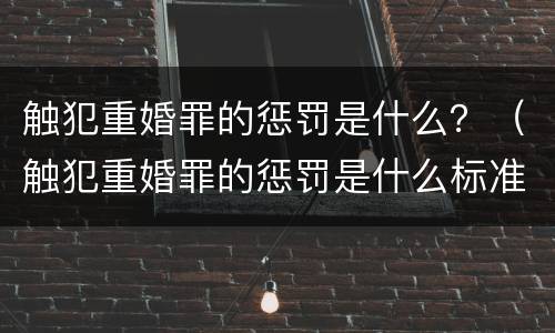 触犯重婚罪的惩罚是什么？（触犯重婚罪的惩罚是什么标准）